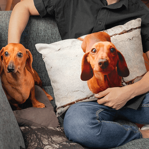 Pet Photo Pillow
